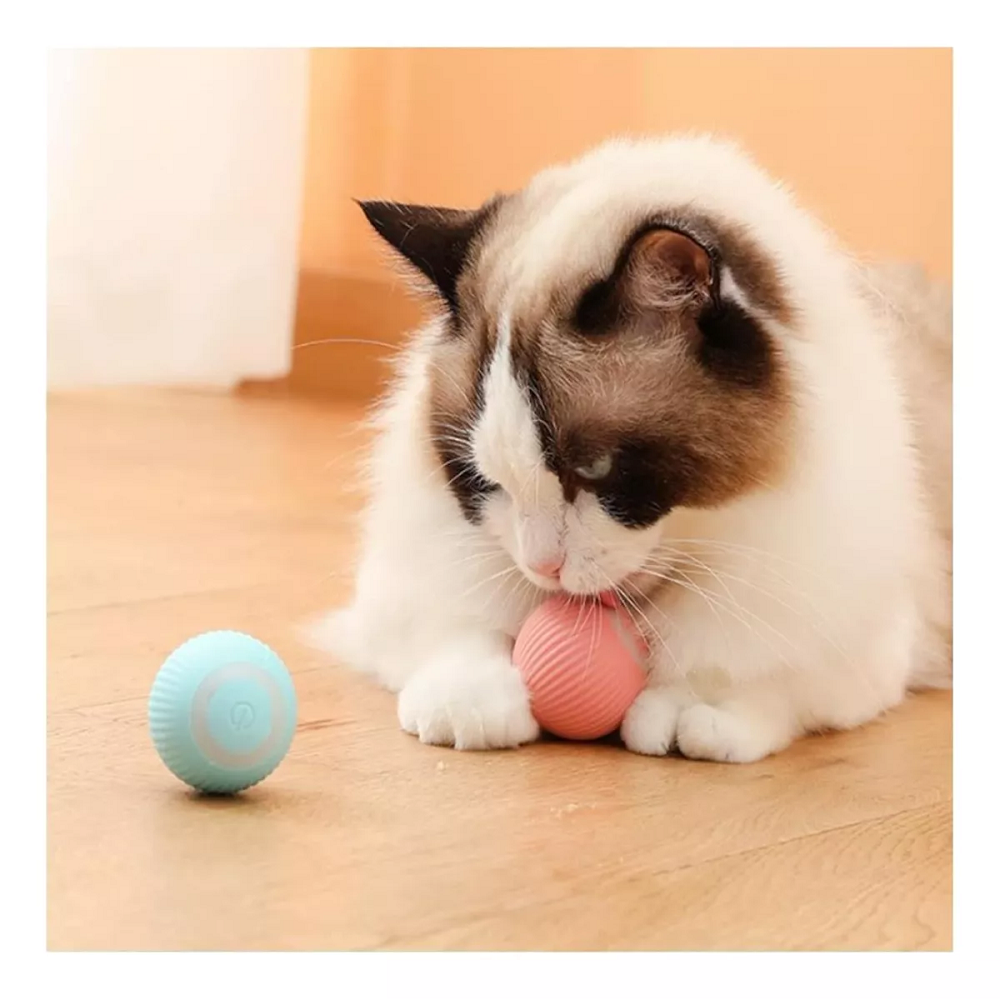 Juguete Interactivo Pelota Para Mascotas